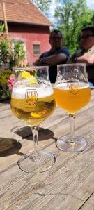 Zwei Gläser Bier auf einem Holztisch, mit einer Zitrone im vorderen Glas.